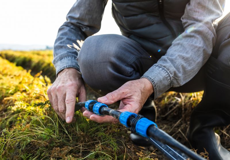 Professional Repair in Progress